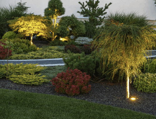 How Landscape Lighting Enhances Your Outdoor Living Space on Long Island